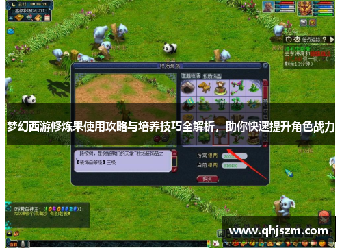 梦幻西游修炼果使用攻略与培养技巧全解析，助你快速提升角色战力