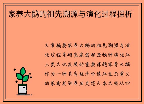 家养大鹅的祖先溯源与演化过程探析